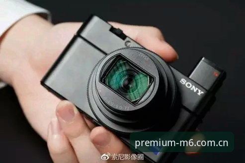 资深用户分享：如何像维拉捧杯一样，在M6娱乐平台获得多重体验的实战心得
